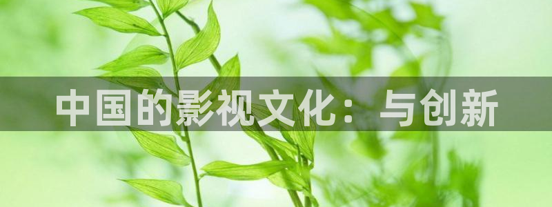 久久久激情影视：中国的影视文化：与创新