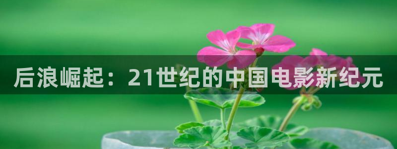 久久中文在线视频：后浪崛起：21世纪的中国电影新纪元