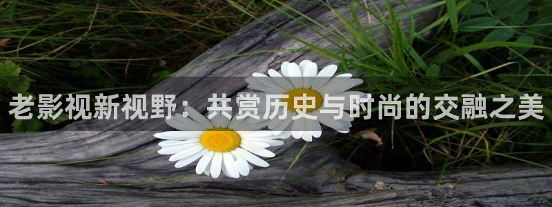 久久成人福利影院：老影视新视野：共赏历史与时尚的交融之美