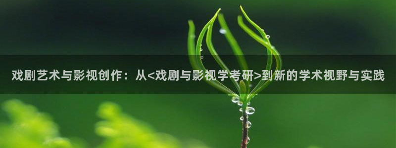 国内精品视频久久久久久久：戏剧艺术与影视创作：从<戏剧与影视学考研>到新的学术视野与实践