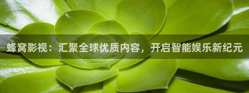 久久免费性感视频：蜂窝影视：汇聚全球优质内容，开启智能娱乐新纪元