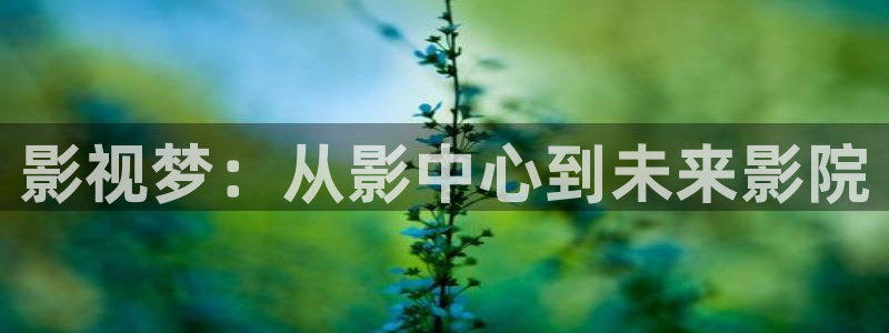 精品免费久久视频：影视梦：从影中心到未来影院