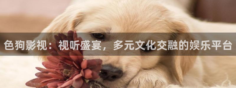 久久社区视频播放：色狗影视：视听盛宴，多元文化交融的娱乐平台