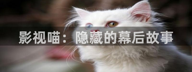 超碰在线久久：影视喵：隐藏的幕后故事
