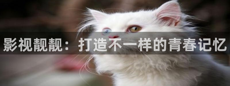 久久在线视频精品：影视靓靓：打造不一样的青春记忆