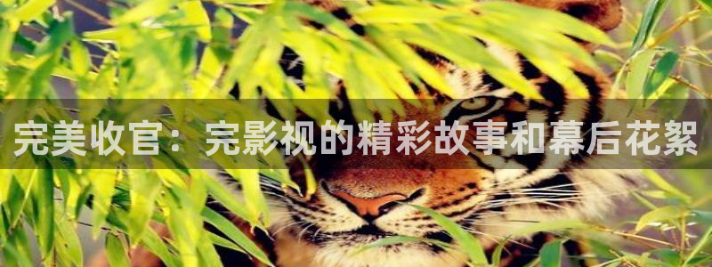 米奇影视欧美另类久久：完美收官：完影视的精彩故事和幕后花絮