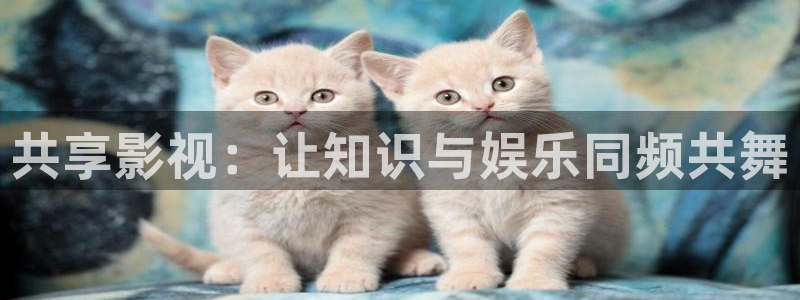 久久精品人人爽人人片：共享影视：让知识与娱乐同频共舞