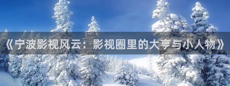 精品视频久久久久久久久：《宁波影视风云：影视圈里的大亨与小人物》